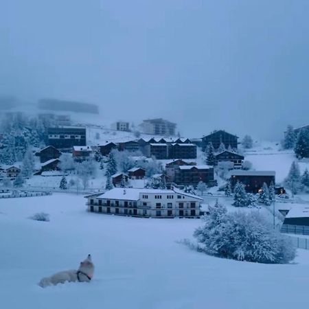 Studio Lumineux Avec Vue Et Acces Sur Les Pistes ! Coup De Coeur Valberg Zewnętrze zdjęcie